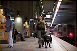 La Metro 5e4acac4c7c96 La Metro 5e4acac4c7c96