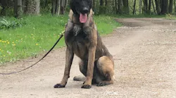 Valto joins GCRTA's K-9 unit.
