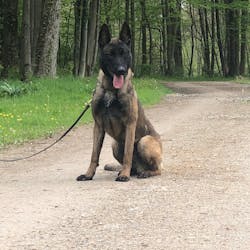 Valto joins GCRTA's K-9 unit. Valto joins GCRTA's K-9 unit.