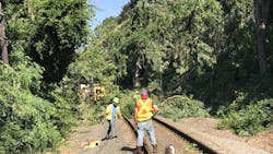 LIRR crews clear a downed tree along the Port Jefferson Branch in Smithtown. LIRR crews clear a downed tree along the Port Jefferson Branch in Smithtown.