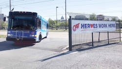 Cat 5f7751d1cc4e8 Cat 5f7751d1cc4e8