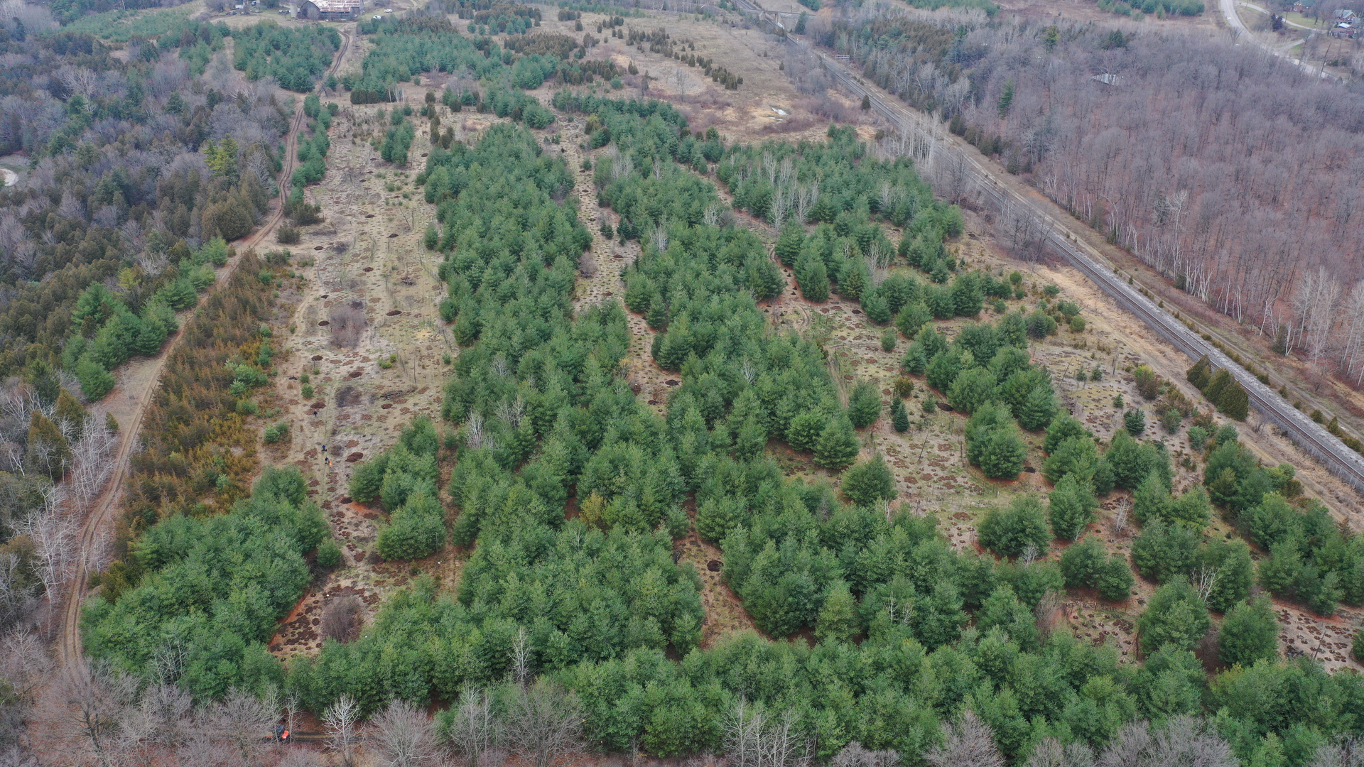 TRCA will help deliver crucial a third-party review to make sure the transit the region needs is built in a sustainable way.