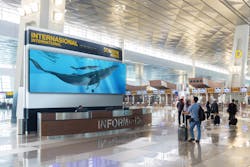 One advantage of DVLED technology is the ability to customize the design to fit nearly any specific need. One advantage of DVLED technology is the ability to customize the design to fit nearly any specific need.