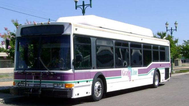 A GrapeLine bus