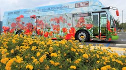 Enc Beb With Flowers Enc Beb With Flowers