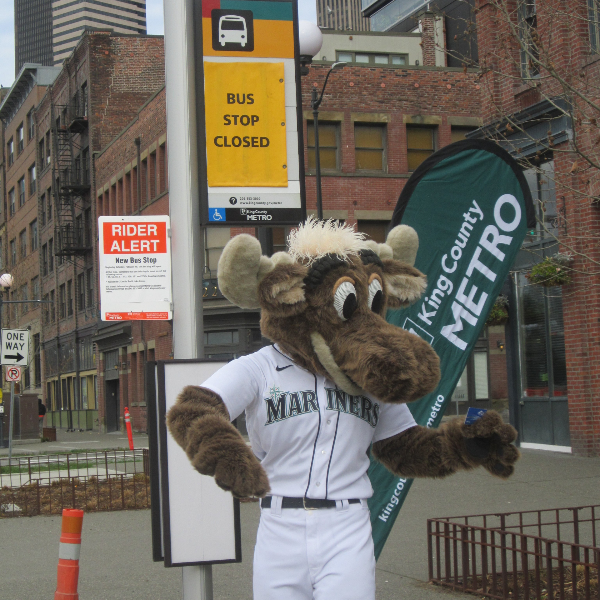 Fl60jbr Vqa Ay D King County Metro Bus Stop 6213bd9697bd5