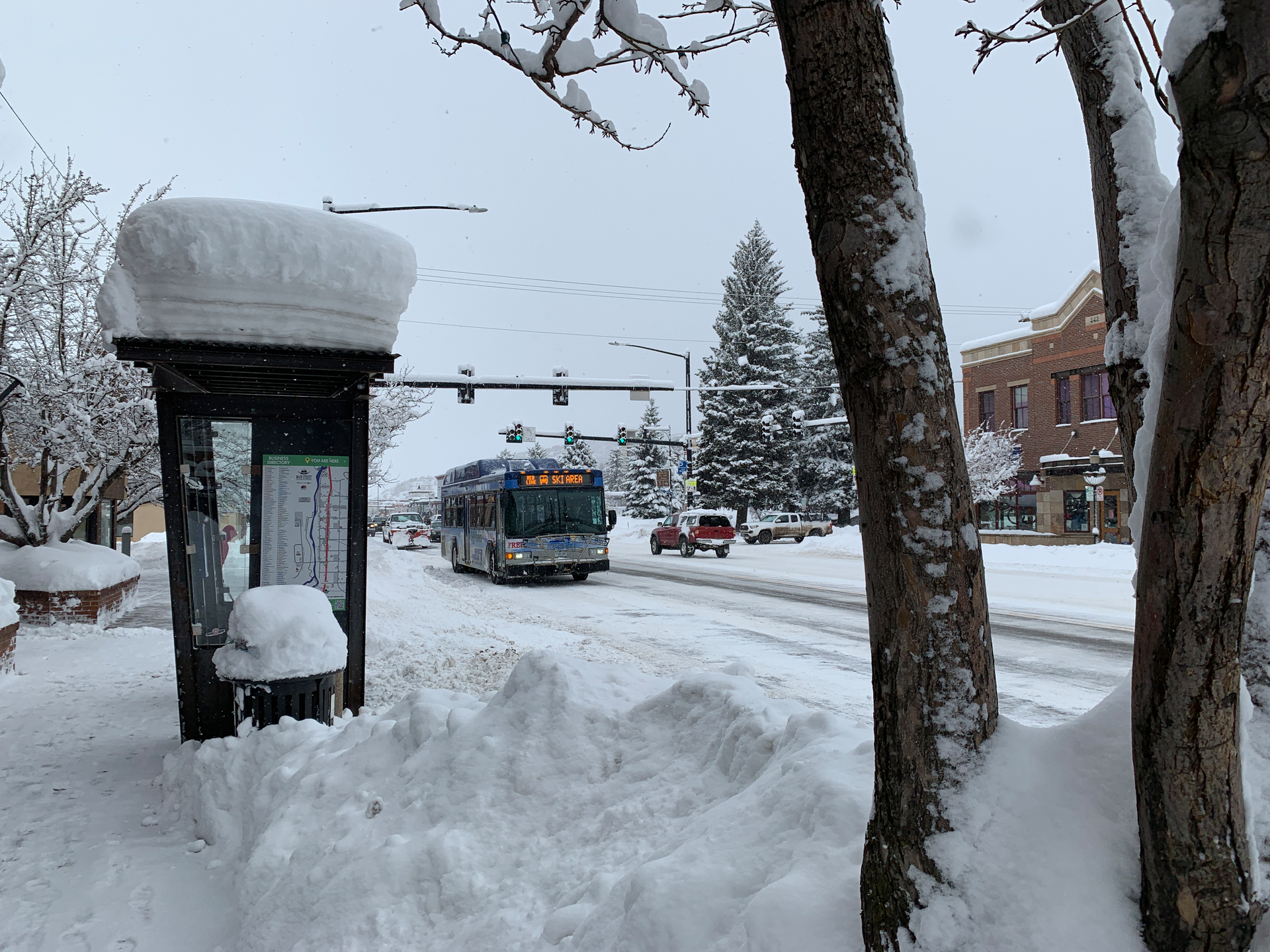 During the peak winter season, SST nearly doubles the number of bus operators.