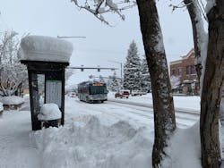 During the peak winter season, SST nearly doubles the number of bus operators. During the peak winter season, SST nearly doubles the number of bus operators.