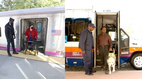 can dogs go on nj transit