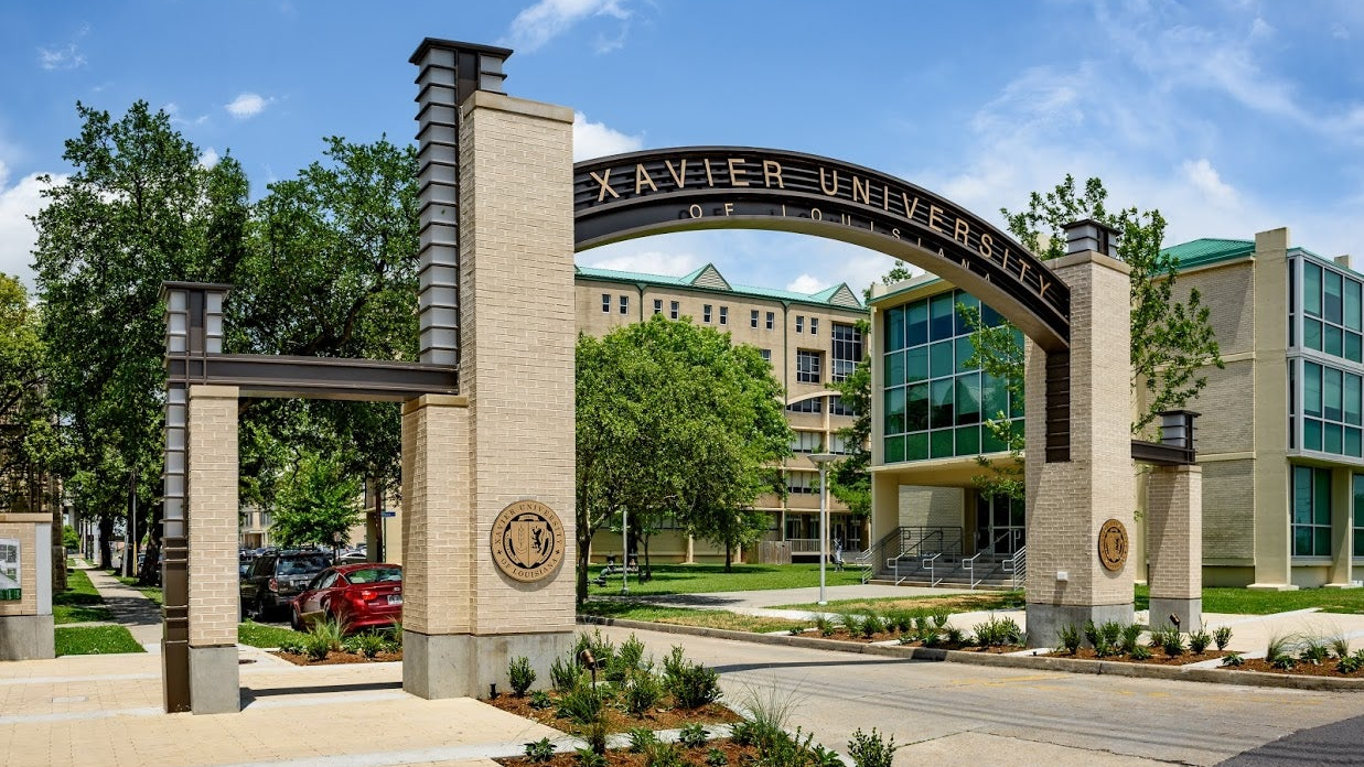 Arc De Xavier 2 Edit 2 Transdev