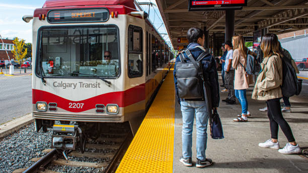 An early July joint safety blitz between city and transit police officers targeted crime and social disorder on the Calgary's transit system.