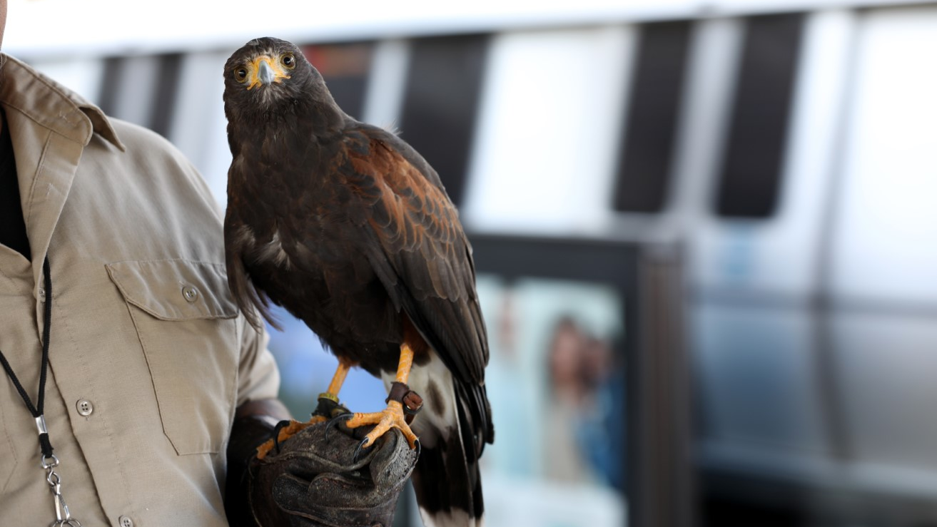 Microsoft Teams Image (18) Bart