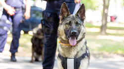 Adobe Stock 447270492 (1) Adobe Stock 447270492 (1)