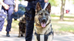 Adobe Stock 447270492 1 630788b1d7868 Adobe Stock 447270492 1 630788b1d7868