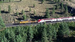 Emu In The Forest Caltrain 63063c873d6dc Emu In The Forest Caltrain 63063c873d6dc