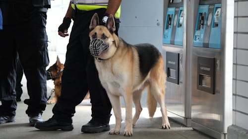 K9 unit cta outlet
