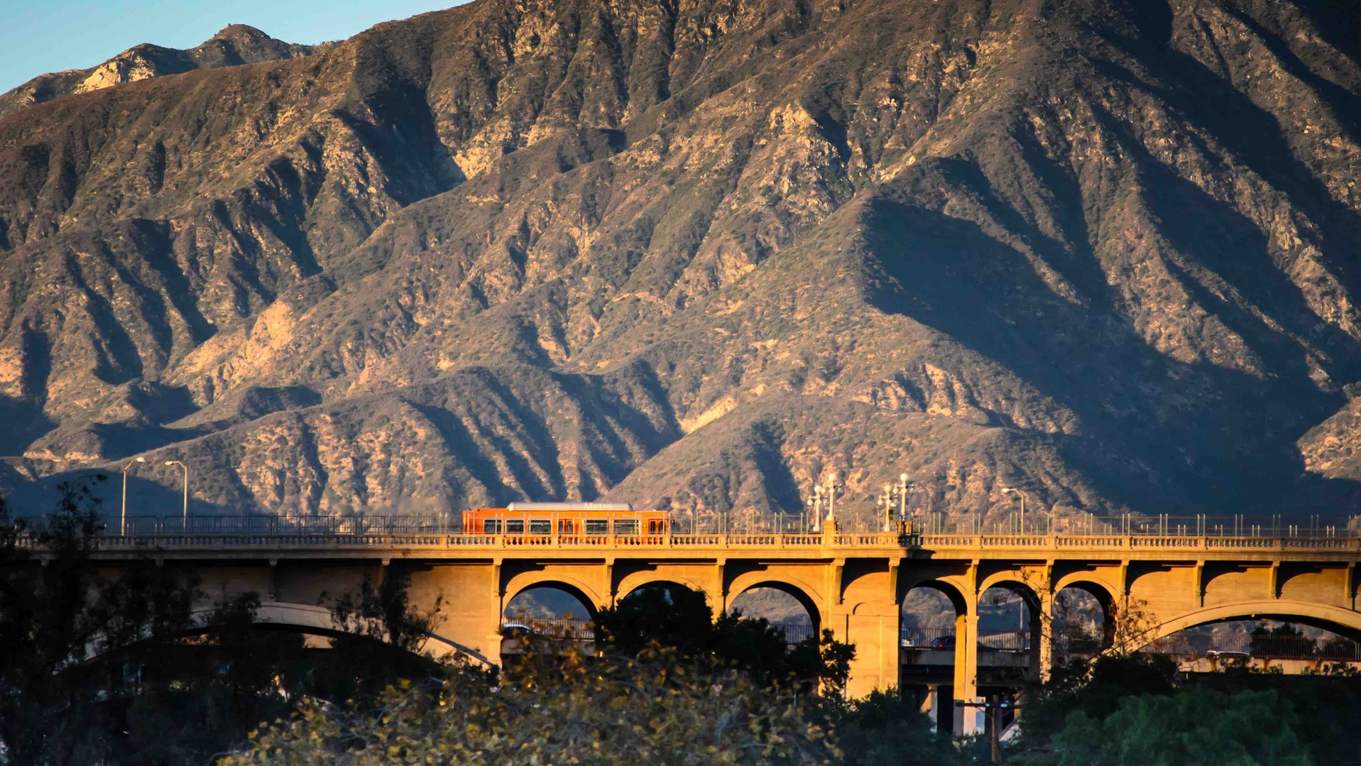 L.A. Metro's Board of Directors approved the agency&rsquo;s first tree policy to help preserve and grow L.A. County&rsquo;s urban tree canopy.