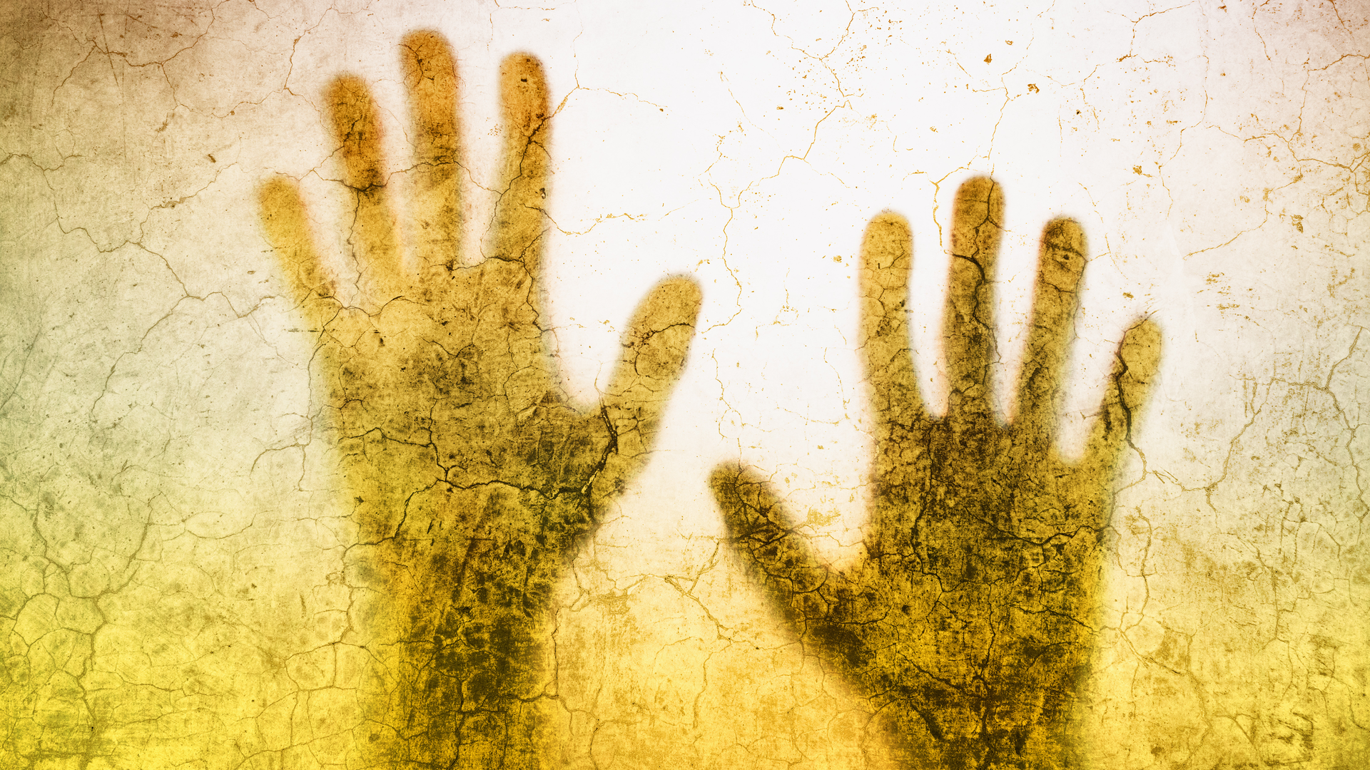 Adobe Stock 123184877