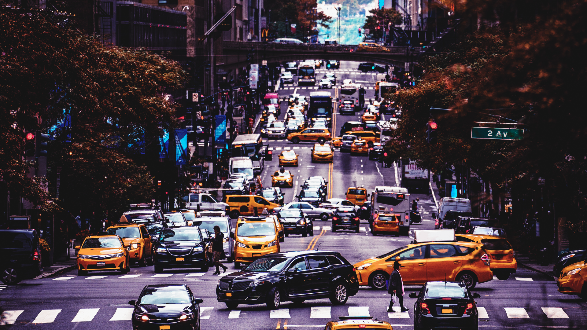 Adobe Stock 288261459 645903e30d1b3