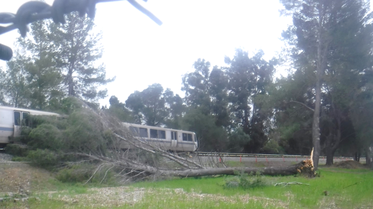 BART is moving forward with a critical preventative maintenance effort to protect the system from trees that could be knocked down into the trackway during severe weather.