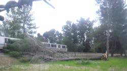 BART is moving forward with a critical preventative maintenance effort to protect the system from trees that could be knocked down into the trackway during severe weather. BART is moving forward with a critical preventative maintenance effort to protect the system from trees that could be knocked down into the trackway during severe weather.