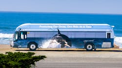 Santa Cruz Metro has unveiled a new wildlife bus. Santa Cruz Metro has unveiled a new wildlife bus.