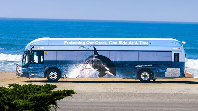 Santa Cruz Metro unveils new wildlife bus | Mass Transit santa-cruz-metro-unveils-new-wildlife-bus-mass-transit