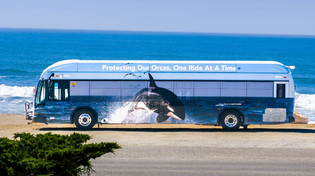 Santa Cruz Metro Unveils New Wildlife Bus Mass Transit santa-cruz-metro-unveils-new-wildlife-bus-mass-transit