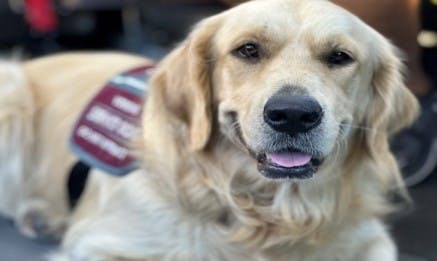 OCTA puts on another semi-annual Service Animal Training day in Anaheim