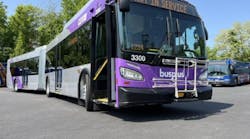 purple_bus_3