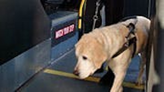 LTD Paw-Print Program highlighted by NADTC as being an accessibility innovation.