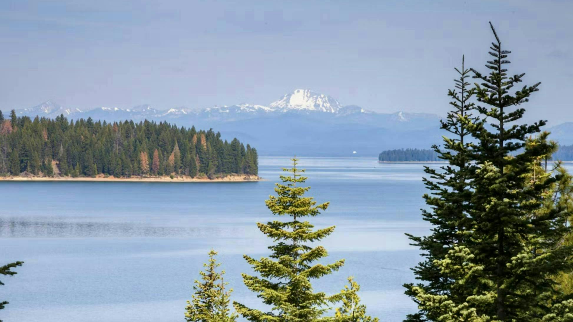 Plumas Transit Systems begins on-demand evening service using The Routing Company's Pingo app.