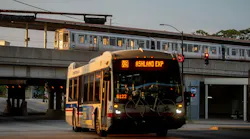 CTA Bus