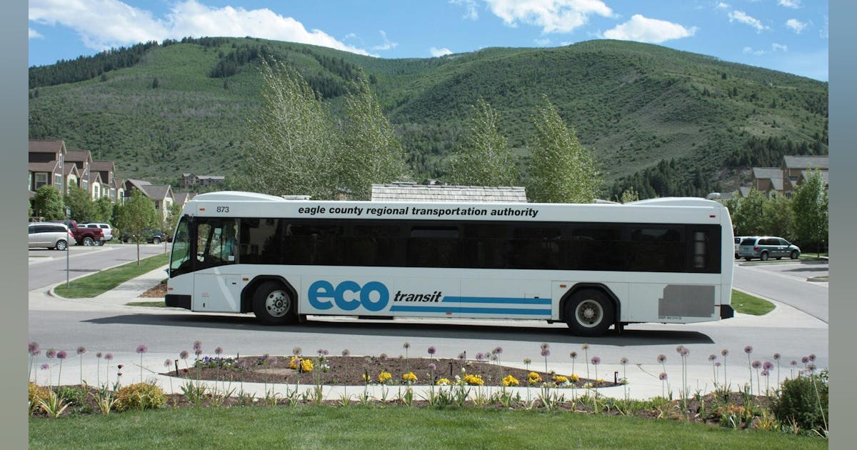 Ecco transit discount