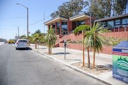 Over 175 new trees were planted along Taraval as part of the project. Over 175 new trees were planted along Taraval as part of the project.