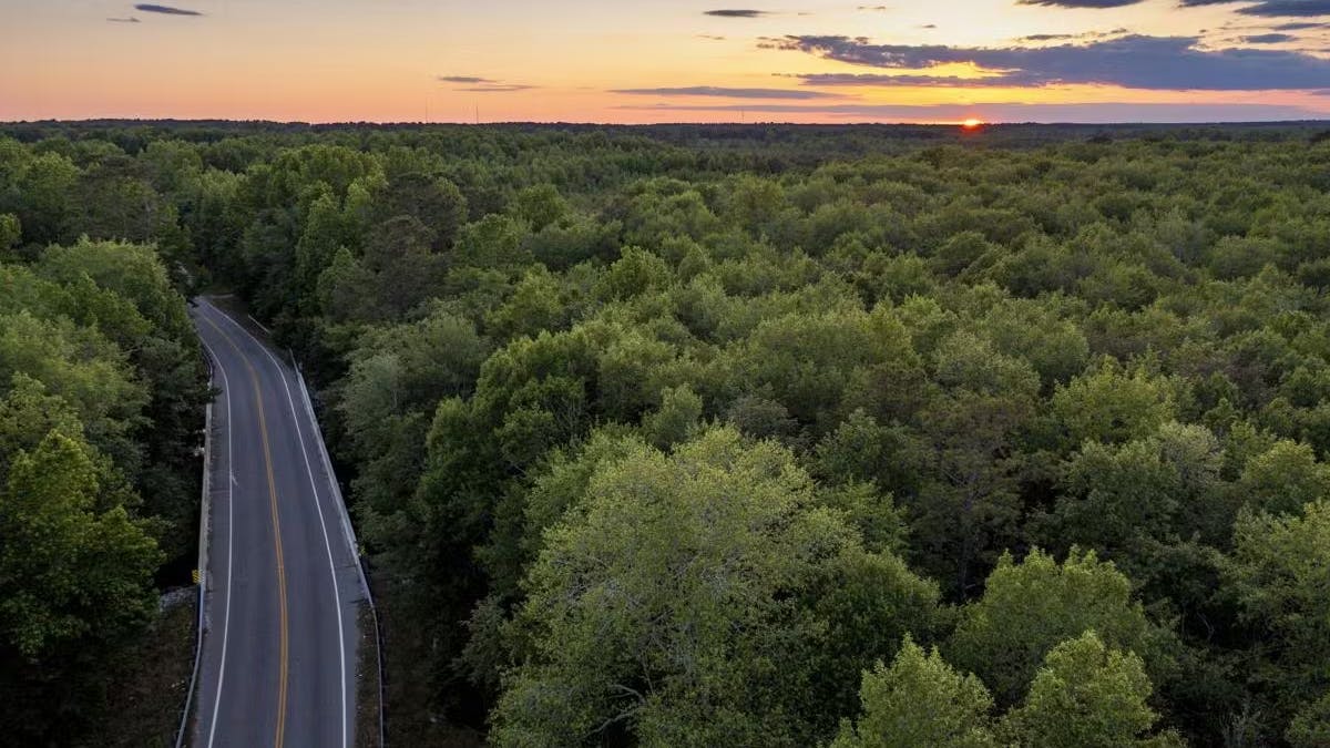 The Routing Company to launch new service in partnership with Pee Dee Regional Transportation Authority .