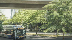 TransLink bus pulls up to bus stop