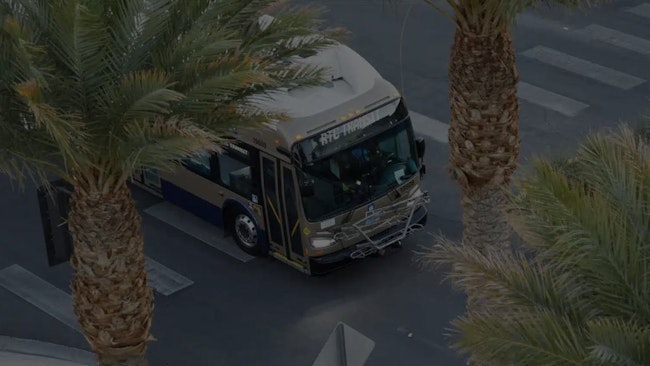 RTC bus drives down a street with palm trees on either side