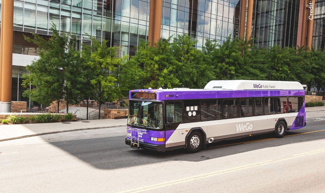 A WeGo bus traverses a city street.