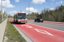 A Toronto Transit Commission Route 116 bus travels in a red-painted dedicated bus lane along a suburban arterial road. The lane is marked with white 'BUS' lettering and bicycle symbols, indicating shared use with cyclists. A private vehicle travels in the adjacent general traffic lane. A sidewalk and grassy median with dandelions run along the left side of the frame. A Toronto Transit Commission Route 116 bus travels in a red-painted dedicated bus lane along a suburban arterial road. The lane is marked with white 'BUS' lettering and bicycle symbols, indicating shared use with cyclists. A private vehicle travels in the adjacent general traffic lane. A sidewalk and grassy median with dandelions run along the left side of the frame.
