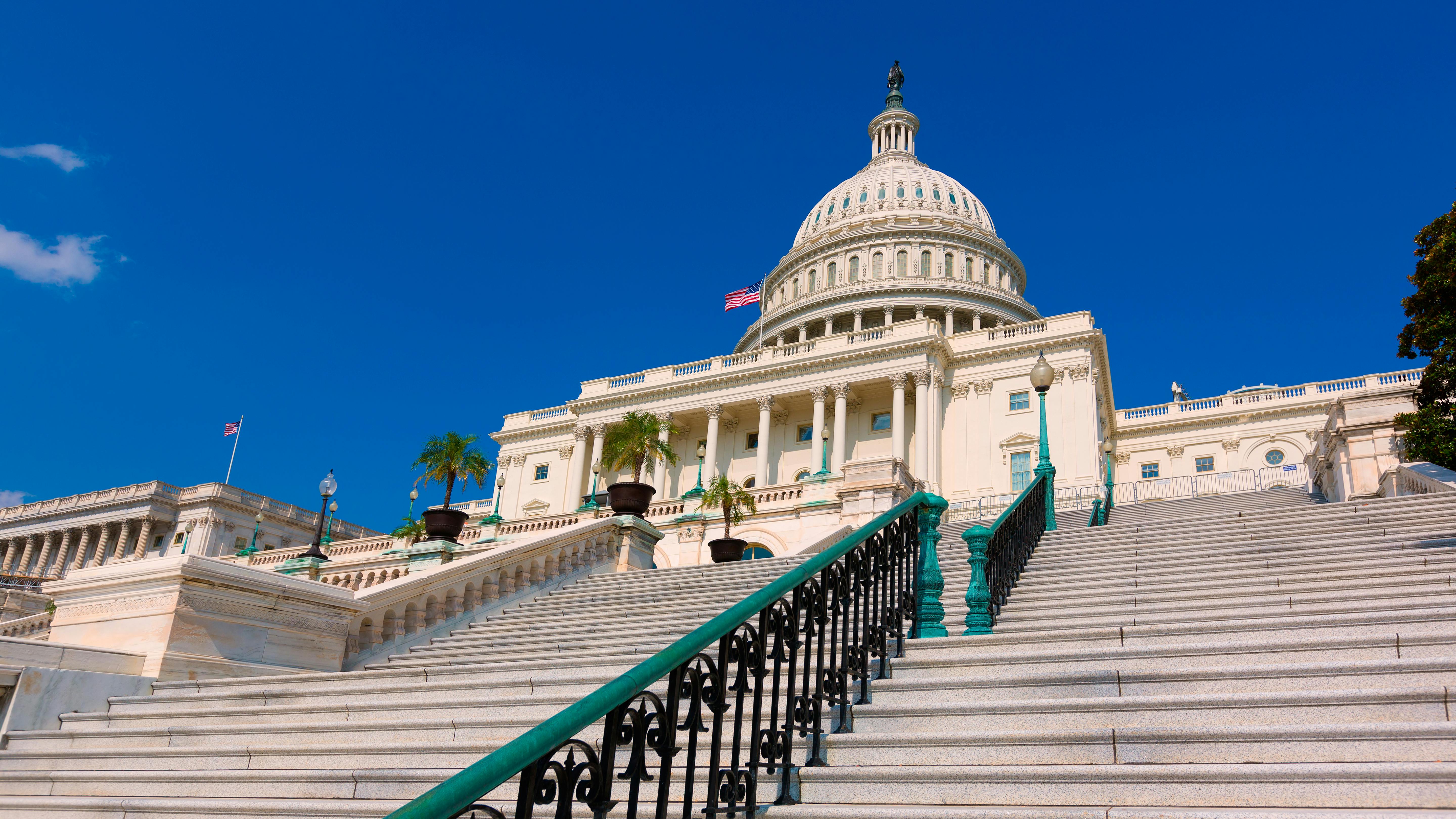 A low-angle view looking up the steps of the U.S. Capitol building in Washington, D.C., with a black iron staircase railing with green-patinated accents in the foreground. The neoclassical white stone facade and iconic dome are visible against a deep blue sky, with an American flag flying near the dome. Potted palm trees flank the building's entrance portico.