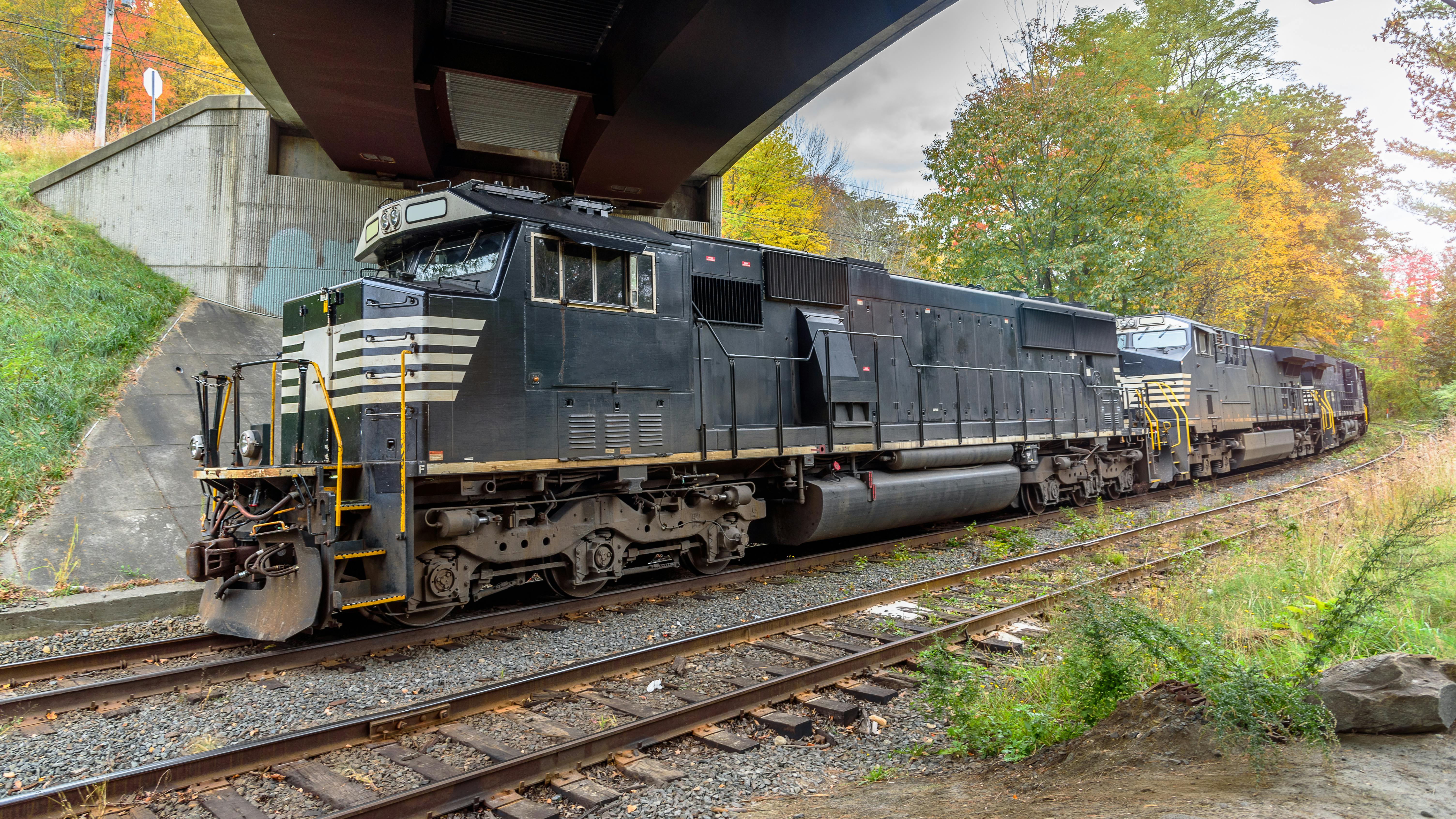 A Norfolk Southern diesel locomotive leads a multi-unit consist under a highway overpass on a double-track mainline corridor. The lead unit is painted in Norfolk Southern's signature black livery with white accent stripes and yellow safety railings. Trees displaying autumn foliage in shades of gold, orange and red line the right-of-way in the background beneath an overcast sky.