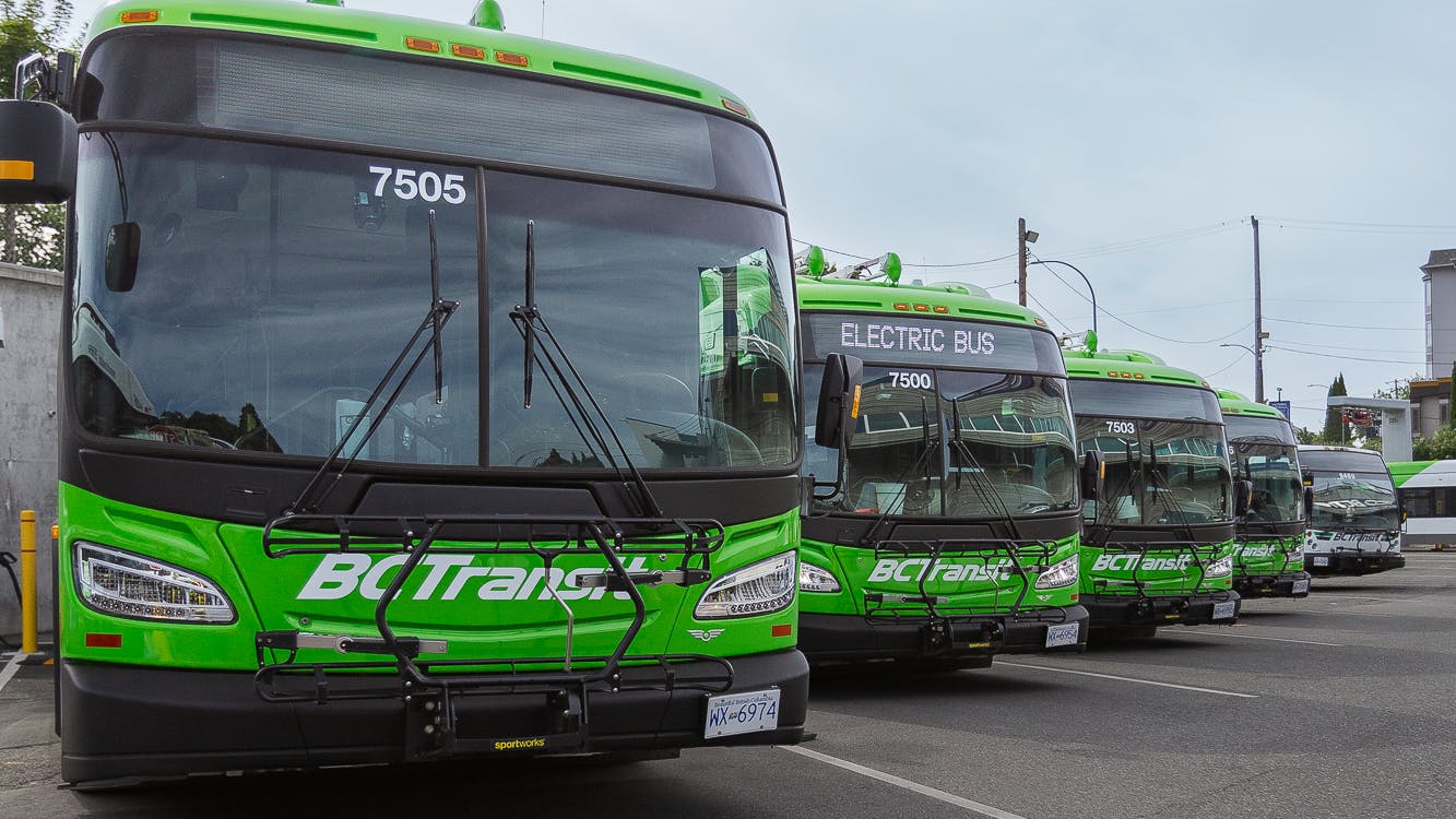 A row of bright green BC Transit battery-electric buses lined up at a transit yard, with the lead bus numbered 7505 in the foreground and additional units, including one with 'Electric Bus' on its destination sign, receding behind it.