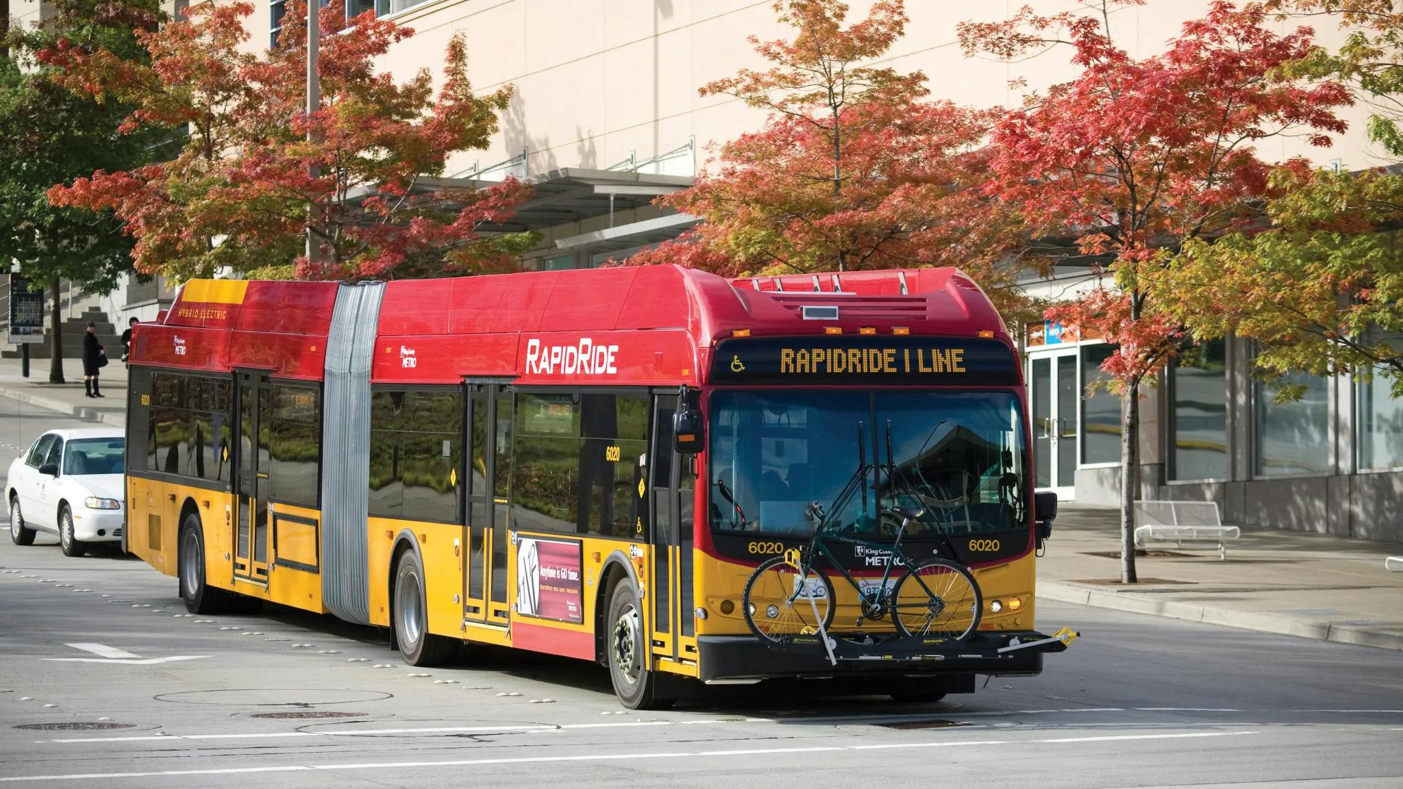 King County Metro RapidRide I Line articulated hybrid-electric bus number 6020 in the signature red and yellow RapidRide livery, displaying 'RapidRide I Line' on its destination board and carrying a bicycle on its front rack, traveling along an urban street lined with red-leafed autumn trees.