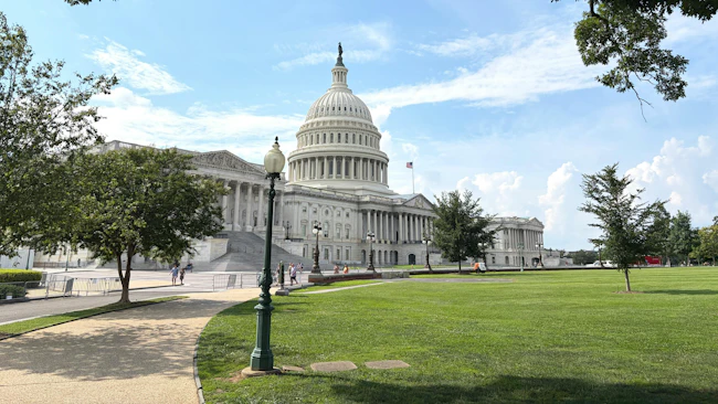 The U.S. Capitol Building framed by tree branches overhead, with the central dome topped by the Statue of Freedom and an American flag flying alongside, viewed from across a grassy lawn with a pathway and vintage lamppost in the foreground.